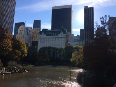 shaunblack - A tutaj widoczek na hotel Kevina. Ugułem NYC jest zajebisty. Każda ulicz...