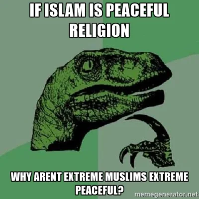 theY - @Ktm450: Ten zamach nie miał nic wspólnego z islamem. Wszyscy wiemy, że islam ...