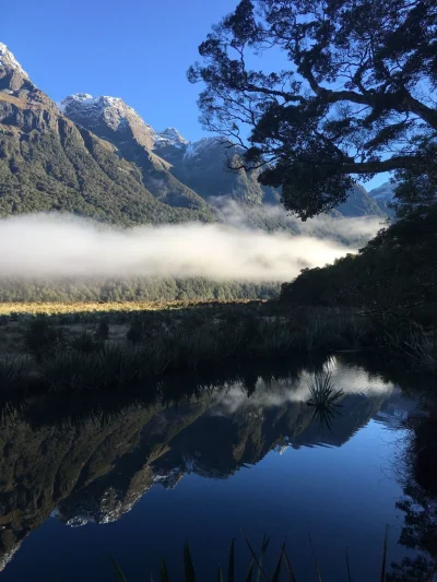 kaloszg - Fiordland NZ #earthporn #nowazelandia