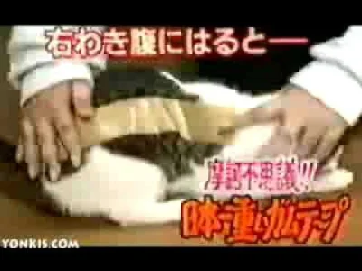 Coreman - A tak Japończycy #psujo #koty

#heheszki #240p