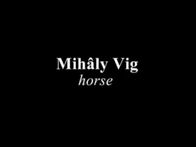 transcendentalnekrojeniechleba - Mihâly Vig - Turin Horse

genialny soundtrack do k...