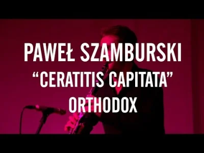 z.....a - Mireczki, polecam solowy album Pawła Szamburskiego - Ceratitis Capitata. Ca...