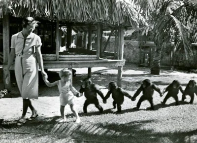 tomyclik - #fotografia #fotohistoria #zwerzaczki 
Chłopiec i szympansy ok.1942 r. - ...