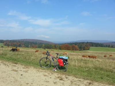 TypowyPolskiFaszysta - Beskid zawsze spoko! Często się tam zapuszczam rowerem i z tym...