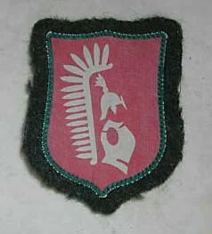 ojzygazyga - A taki miał być emblemat legionu góralskie.