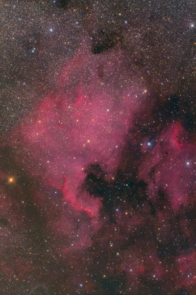 namrab - NGC 7000, czyli mgławica Ameryka Północna. 30 minut ekspozycji.

#namrabco...