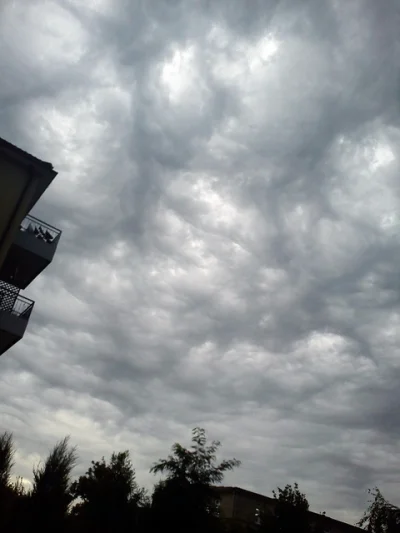 pyt33 - asperatus w Siedlcach z telefonu :>