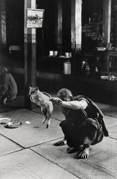 myrmekochoria - Sabine Weiss, Mnich trenujący kota, bez daty, ale raczej II połowa XX...