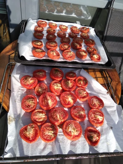lukduk - @boctok a tu upgrade pomidory wyszły na spacer bo upał ze strach. Już się ku...