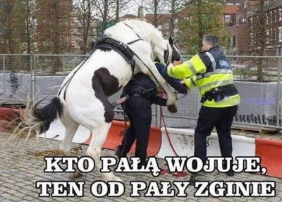M.....n - #policja #humorobrazkowy #heheszki #przemocseksualna