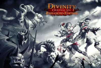 saw24 - Kurde jestem zainteresowany grą Divinity Original Sin Enhanced Edition na ste...