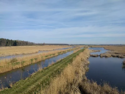 oddawaj_kasztana - Jedno z najdzikszych miejsc na #podlasiu. ʕ•ᴥ•ʔ