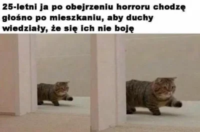 jebola - #koty #heheszki #humorobrazkowy