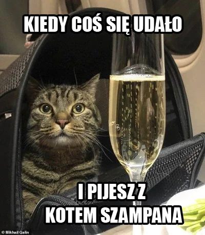 k.....n - > Gdy coś się uda i z kotem pijesz szampana

@czworokot: 

O to chodził...