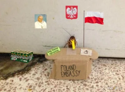 szkorbutny - #testoviron #polacyrobacy #polska #polityka #heheszki #patriotyzm #papie...