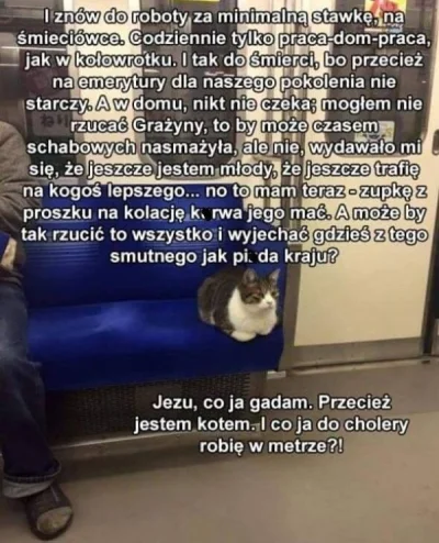 Hubert19 - #heheszki #humorobrazkowy #smiesznekotki