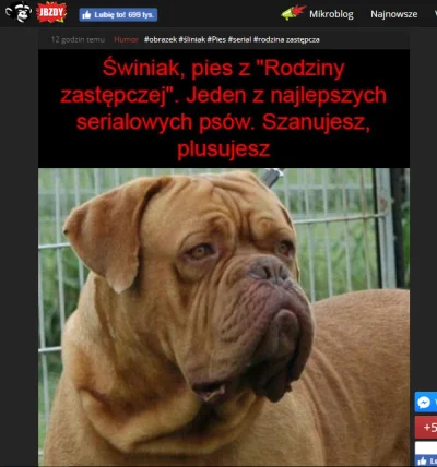 Rebrond - Te debile nawet nie patrzą co kopiują tylko czy ma dużo plósóf xD
#bekazje...