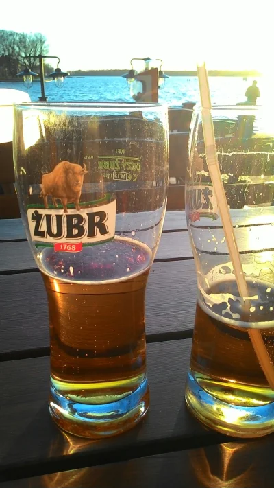 p1tbull - #pijzwykop #piwo siedzimy nad jeziorem z moim rozowym i #relaks