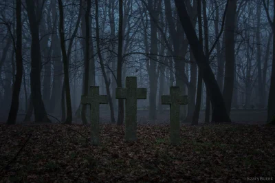 nightmeen - Cmentarz garnizonowy w Twierdzy Modlin.

Zapraszam do obserwowania moje...