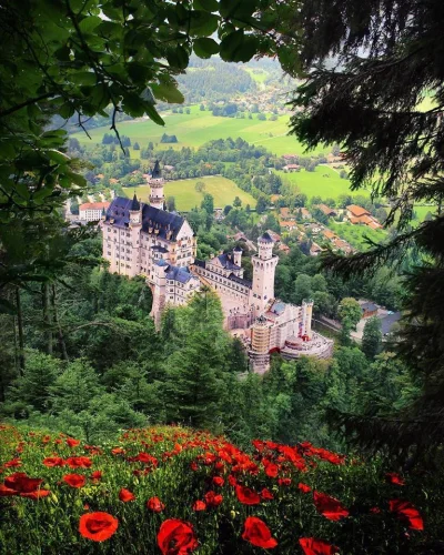 Castellano - Neuschwanstein. Zamek w Schwangau. Niemcy
foto: butnomatter.theroadisli...