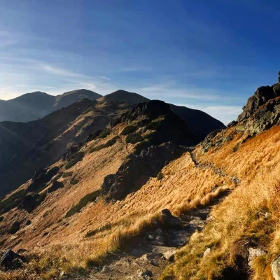 verzz - Sztos widoczki z Goryczkowej Czuby (｡◕‿‿◕｡)

#tatry #gory