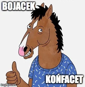 T.....u - #bojackhorseman #polonizacjaseriali #polonizacjamemow