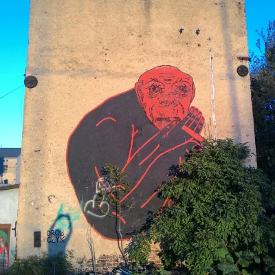 StonedApe - Małpa pali gibona. 
#streetart #katowice #sztuka #marihuana #wykopjointcl...