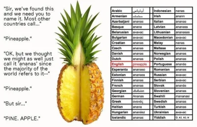 zarowka12 - Ale jak ananas można było nazwać "sosnowe jabłko"?