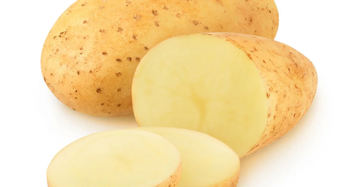 Картофель ариэль фото. Сорт картофеля Зекура. Сорт картошки Ариэль. Картофель Ариэль. Картофель Ариэль описание сорта.