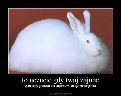 nobody_here - ##!$%@? #zajonc