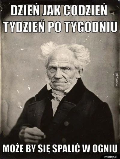 D.....o - #schopenhauer #humor #humorobrazkowy