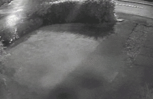 Qracz3k - #gif #gtastyle #parkujzwykopem