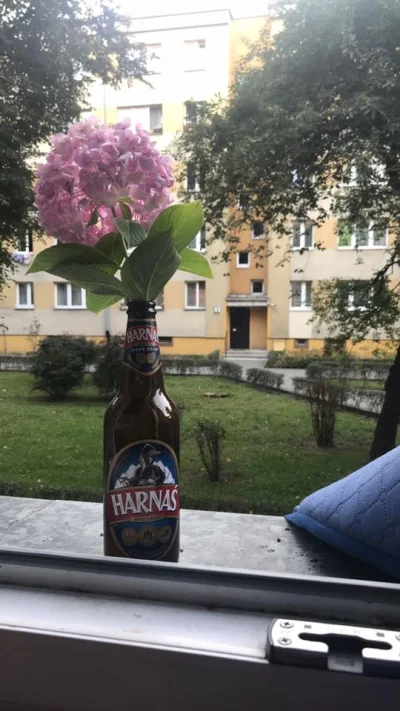 Farezowsky - Siemka, co sądzicie o moim nowym flakonie na kwiaty?
#kwiaty #flakon #a...