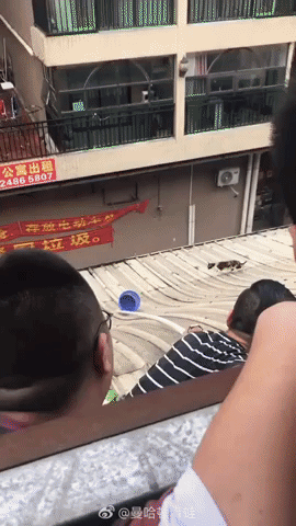 kontozielonki - Na filmiku poniżej została niecodzienna chwila jak Azjaci polują na j...