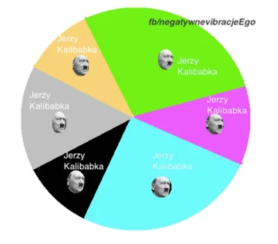 realizta - W wyborach prezydenckich, które są ILUZJAMI, zwycięzcą został JERZY KALIBA...