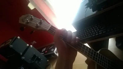 blisher - Mireczki kupiłem sobie ukulele, zajebisty instrument polecam

I różowe na...