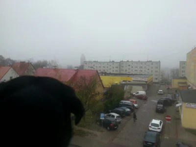 leworwel - Aaaa ratunku #smog z #krakow dotarł już pod #olsztyn!!!!!!!!!