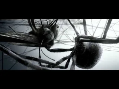 K.....z - Dat teledysk!



#pajaki więc ludzie z #arachnofobia niech się mają na bacz...