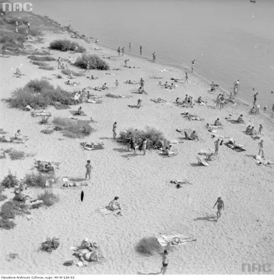 edytq - #warszawa 



Widok praskiej plaży z Mostu Śląsko-Dąbrowskiego, 1972

Narodow...