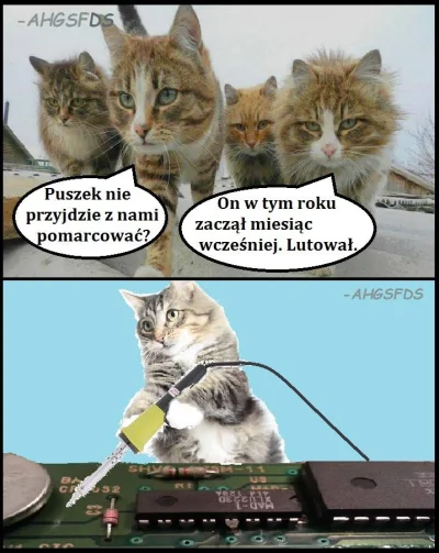 r.....y - UWAGA SUCHAR

#humor #humorobrazkowy #koty #pasjonaciubogiegozartu #sucha...