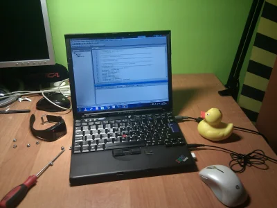 westwoodczyk - Nareszcie mam odpowiedniego partnera do #rubberduckdebugging ;) #geek ...