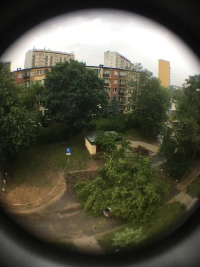 eenki - Powyrywało drzewa w Białymstoku podczas burzy. Pech chciał, że spadło komuś n...