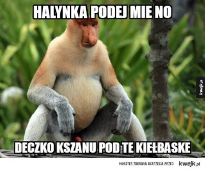 a665321 - #heheszki #humorobrazkowy #myslnarodowa #patriotyzm