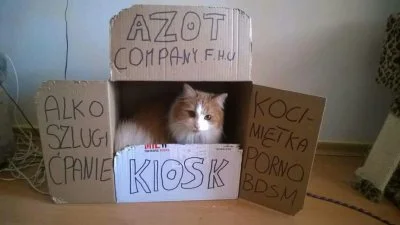 walter-pinkman - Rodo srodo
#100smiesznychobrazkow #heheszki #humorobrazkowy #koty