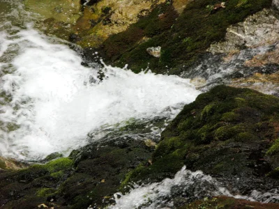 C.....r - > 1648

@lewymaro: Wodospad gdzieś w Tatrach, o jeden numer wyżej byłoby ...