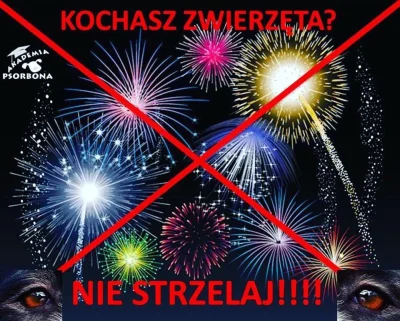 ksmpol - Poznaniacy takimi grafikami zaczynają walkę z petardami w Sylwestra.
#pozna...