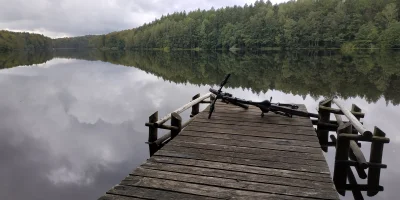 reddin - Ej @RegemRegum z okna samochodu da się podziwiać takie widoki? Ruch to zdrow...