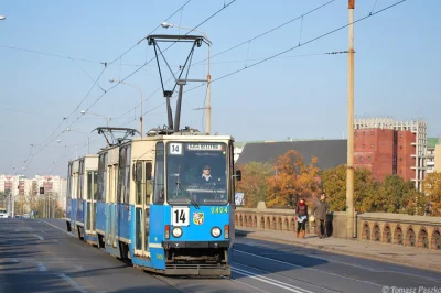 rybak_fischermann - Auta zlikwidować, wszystko zalać wodą i będzie drugi Amsterdam, c...