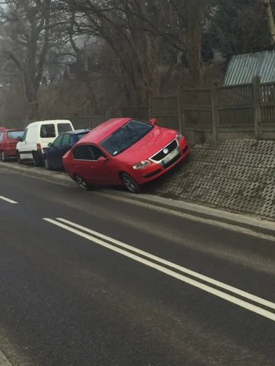 TrzodaChlewna - A paseratti parkuje tak!
#heheszki #Warszawa #passat