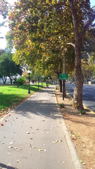 Skrzypibut - 166608 - 26 = 166582

Jesiennie, w Santiago
#rowerowyrownik